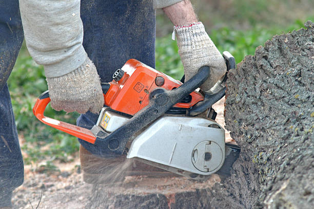 Benld, IL Tree Services Company